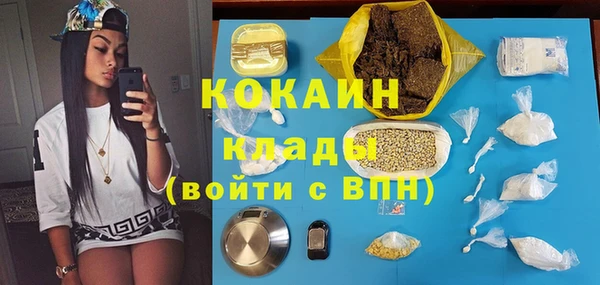прущие грибы Гусиноозёрск