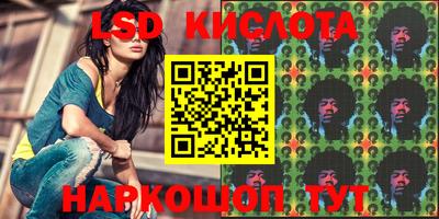 стафф Бийск