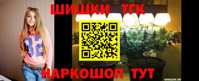 индика Гусиноозёрск