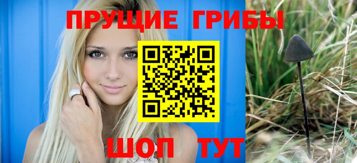 Псилоцибиновые грибы мухоморы  наркошоп  Видное  Вход с VPN 