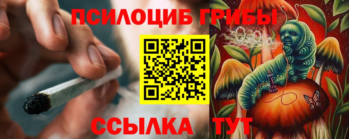 Галлюциногенные грибы ЛСД Видное