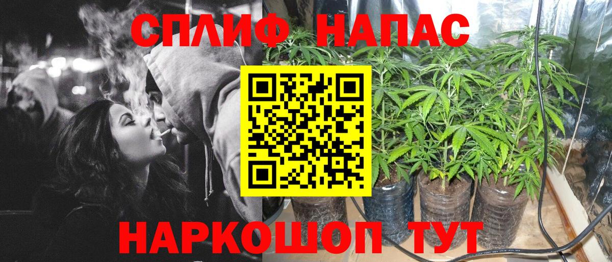 Конопля SATIVA & INDICA  Каннабис THC 21%  Вход с VPN  Видное 